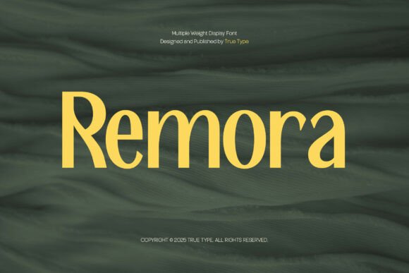 Remora: A Designer’s Honest Take on This Sans Serif
